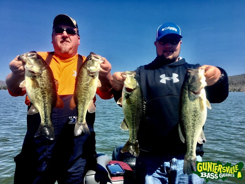 Bleib am Big Bass Splash - Ein Slotklassiker bei Pragmatic Play - overview